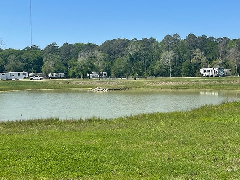 Pond